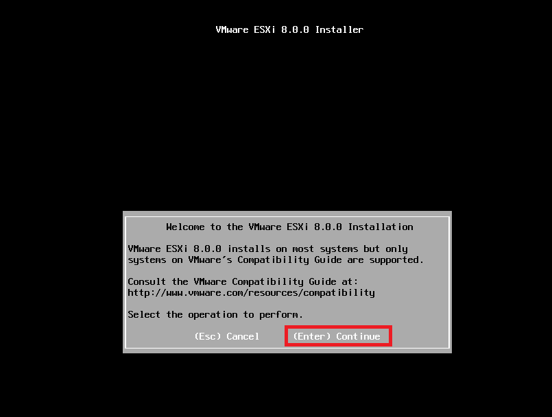 Welcome to the VMware ESXi 8.0.0 Installation